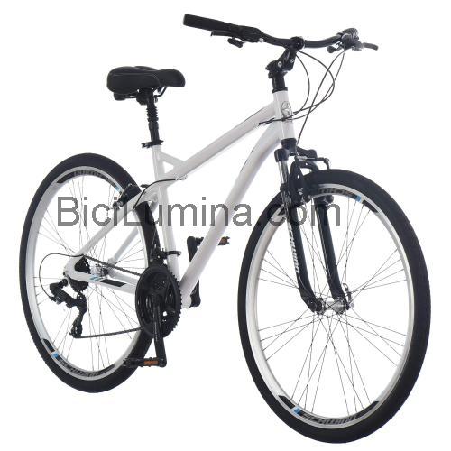 Schwinn Network 3.0 ficha técnica y opiniones